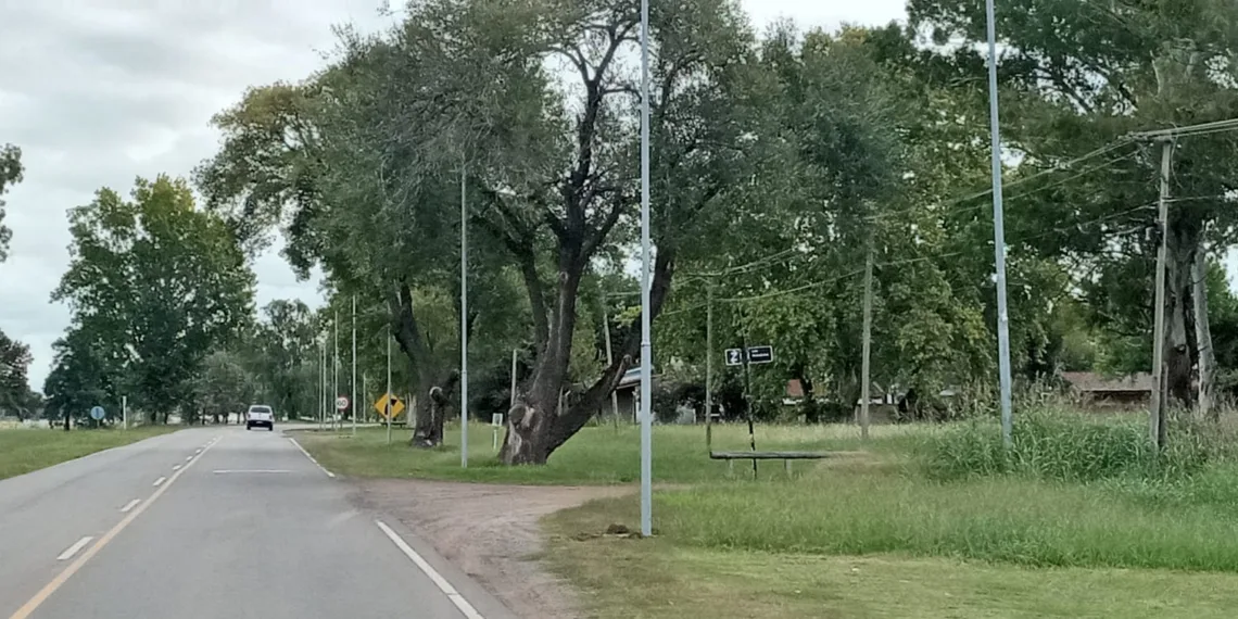 Comenzaron a colocar las columnas de iluminación en el camino al PNLG
