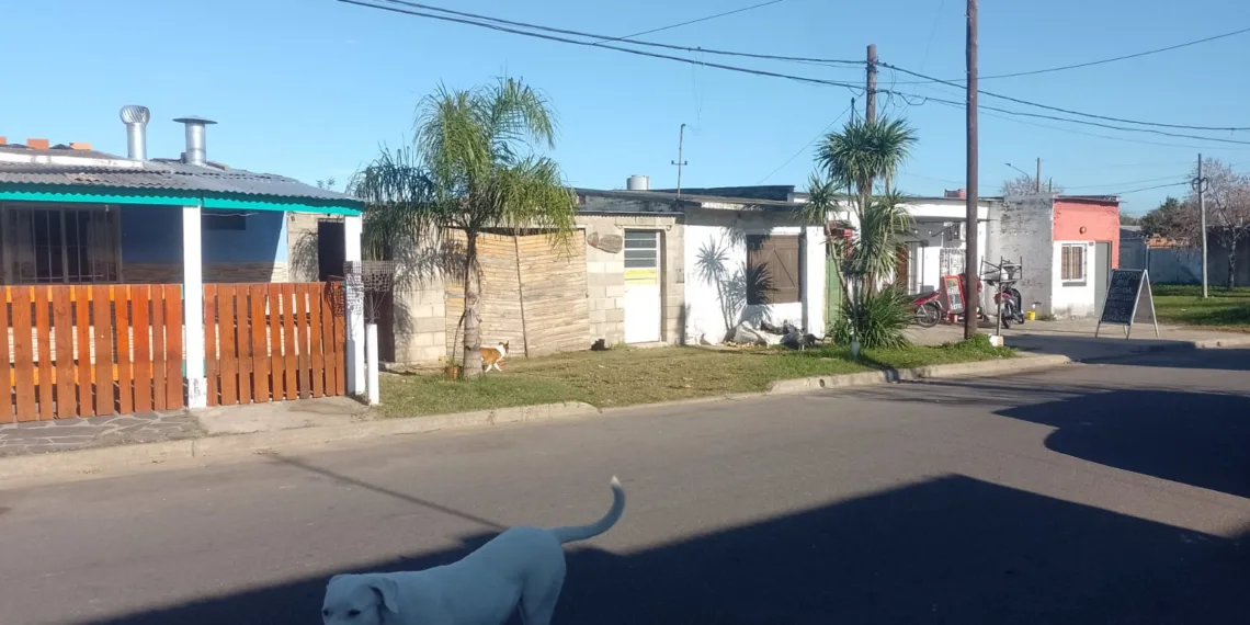 Vecinos de Las Delicias reclaman por problemas con el servicio eléctrico