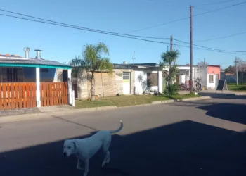 Vecinos de Las Delicias reclaman por problemas con el servicio eléctrico