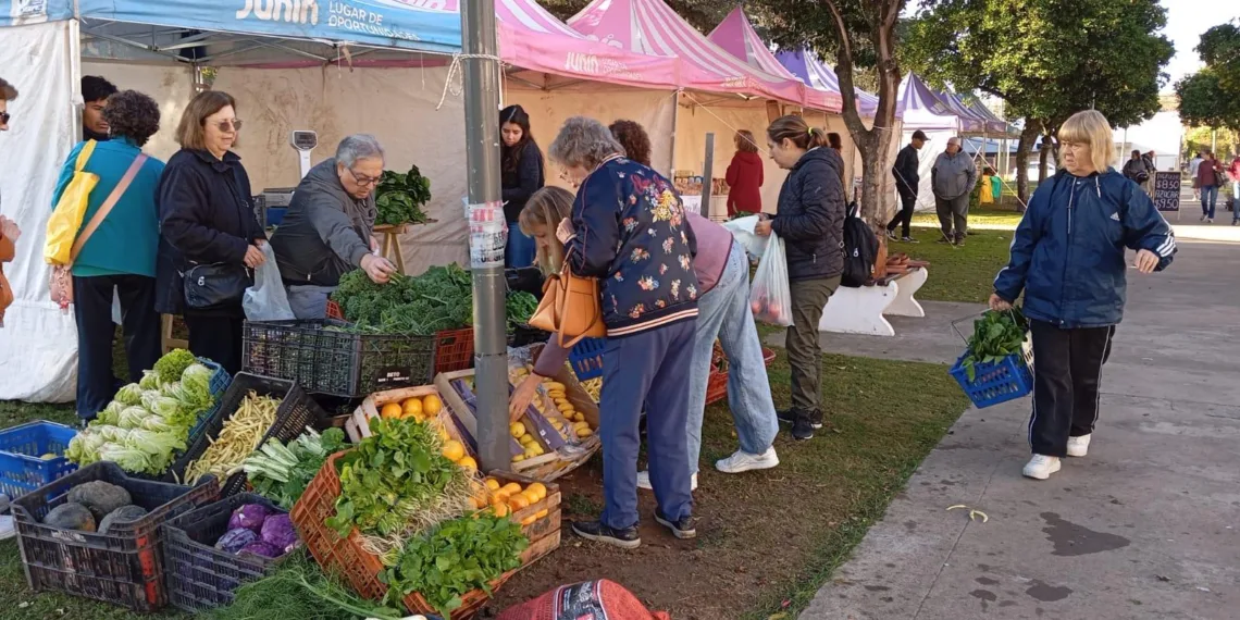 Mercado en tu Barrio llega hoy a plaza Marcilla