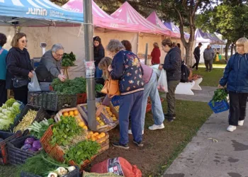Mercado en tu Barrio llega hoy a plaza Marcilla