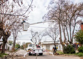 Comienza el plan anual programado de poda en Junín