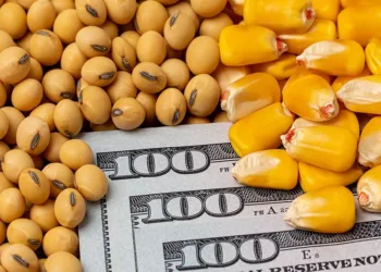 En un clima de números complicados, Diputados trataron las retenciones