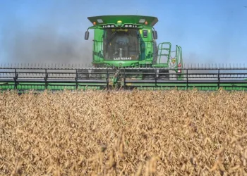 En la previa del trigo, sorprenden los rindes de soja, girasol y sorgo