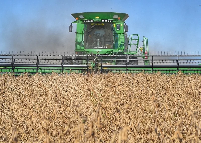 En la previa del trigo, sorprenden los rindes de soja, girasol y sorgo