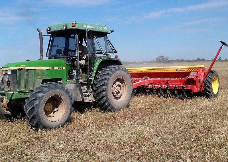 Pronostican aumento del área sembrada con trigo