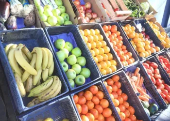 Aseguran que los productores están desesperados porque la fruta se deja de comprar si no es cómoda ni práctica