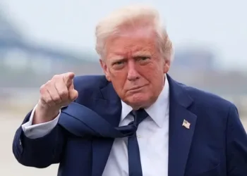 Estados Unidos no asistirá a  la cumbre del G20 en Sudáfrica