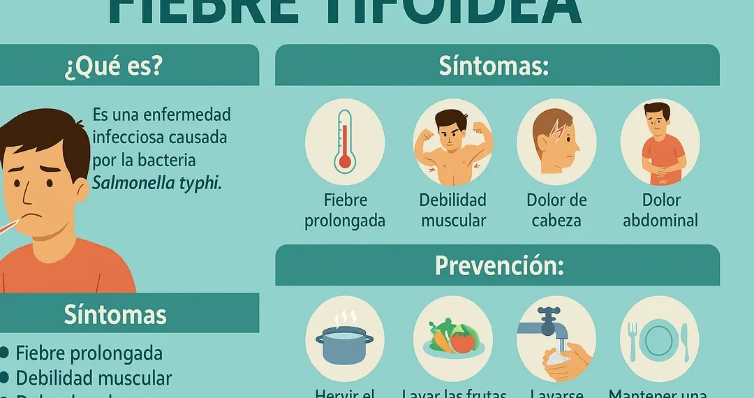 Brote de fiebre tifoidea en el AMBA: seis personas internadas, dos en estado grave