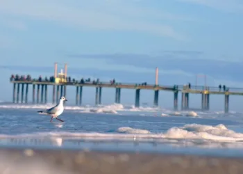 Intendentes bonaerenses pretenden que el 12 de octubre sea feriado largo