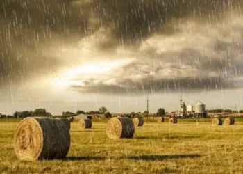 Lluvias, protagonistas: el norte bonaerense,  pasado por agua en lo que va de mayo