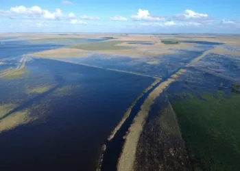 Más de la mitad de la provincia de Buenos Aires sufre excesos hídricos