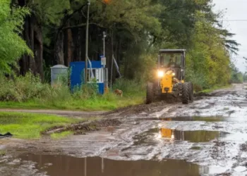 Balestrasse: “Junín tiene 1.400 kilómetros y es muy  complejo que las máquinas pasen una vez por mes”