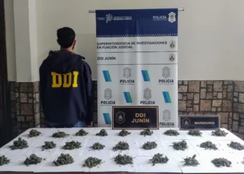 Una mujer aprehendida y marihuana secuestrada