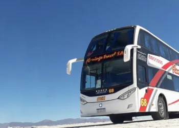 FLAMINGO… en vacaciones