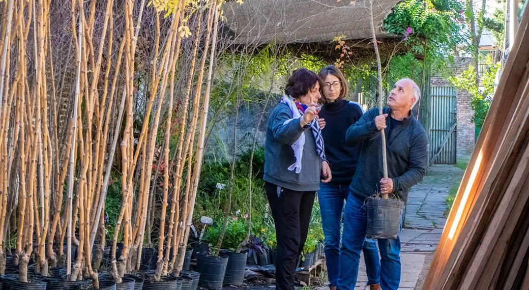 Refuerzan el programa “Mi Vereda, Nuestros Árboles” junto al Taller Protegido