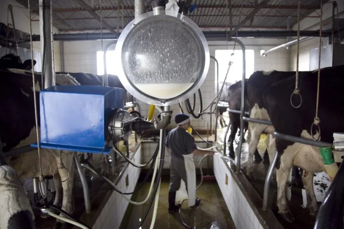 Más de 1.000 tambos cerraron en el país desde que asumió Milei