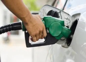 Impacto en el precio del gasoil: autorizan el incremento del 2% en el valor del biodiésel