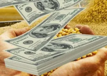 Pese a la baja de las retenciones, el agro aportaría un 25% más de divisas en el primer semestre