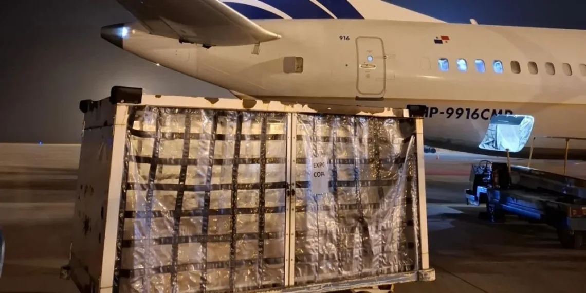Desde Rosario ya se exporta carne y pescado por vía aérea