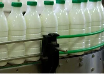 Con precios en dólares en niveles máximos, el sector lácteo se recuperó y creció 11%