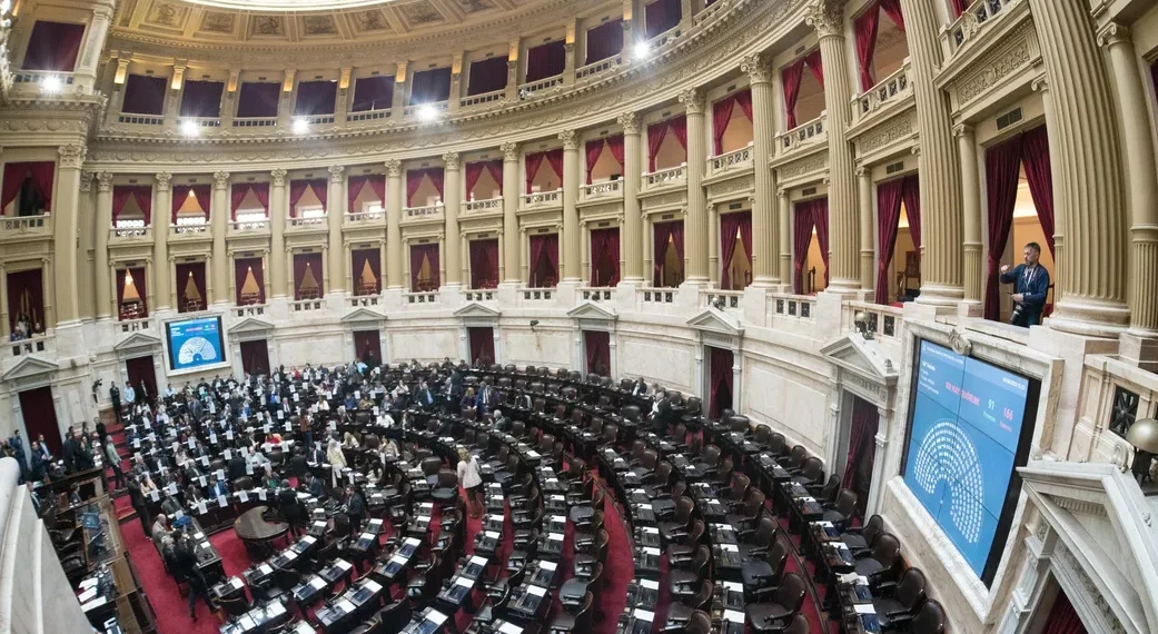 La oposición también logró aprobar la ley de emergencia en Discapacidad en Diputados