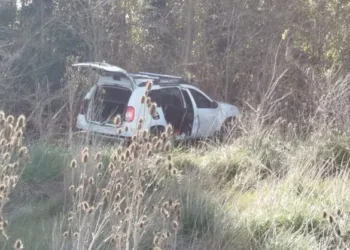Tres Arroyos: mató a su mujer, después a sus dos hijos y se tiró debajo de un camión