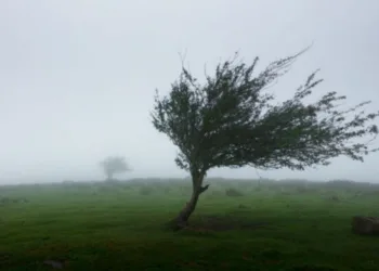 Alertas por fuertes vientos para toda la provincia de Buenos Aires