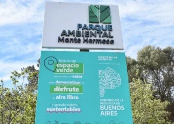Día Mundial del Ambiente: un Estado provincial que trabaja para protegerlo y mitigar las consecuencias de sus daños