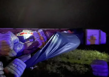 Choque sobre la RN 7 a la altura de Vedia