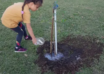 Piden que plazas y espacios públicos de Junín cuenten con plantas frutales
