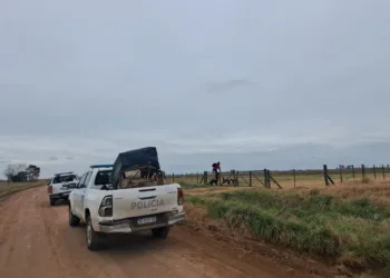 Cazadores furtivos: se labraron 23 infracciones en zonas rurales