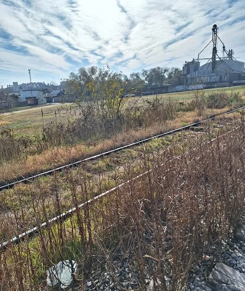 Reclaman por la limpieza de los cañaverales a la vera de las vías del ferrocarril