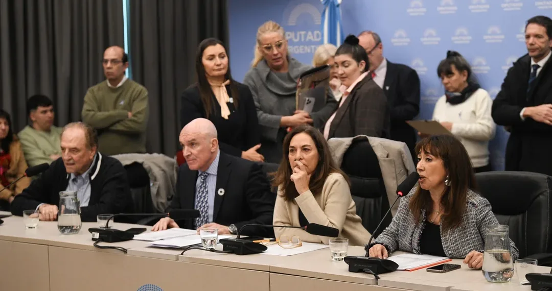 Diputados apuró una ley de emergencia para el Garrahan y le exige al Gobierno que suba los sueldos