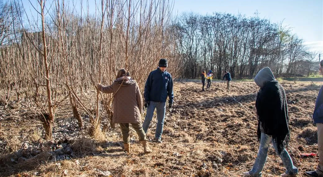 Continúa el proyecto forestal en el predio del ex Vivero Municipal