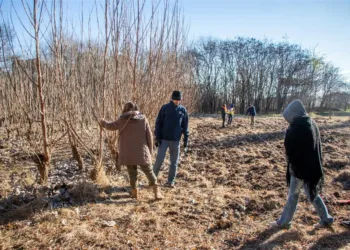 Continúa el proyecto forestal en el predio del ex Vivero Municipal