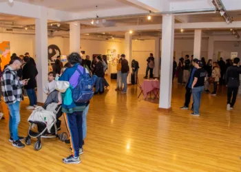 Estudio Anfibio inauguró “Una especie de muestra” en el MACA con una propuesta visual y creativa