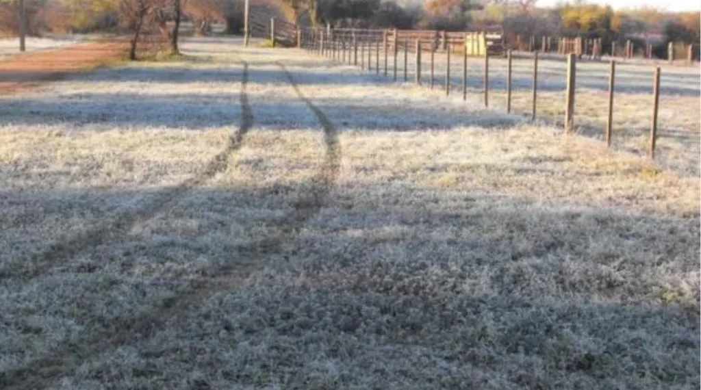 Hoy es el día más frío en Junín: -7.4 °
