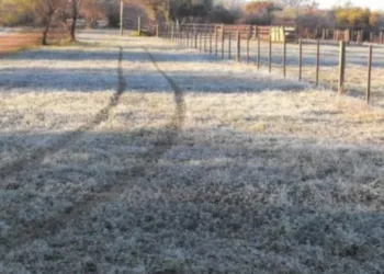 Hoy es el día más frío en Junín: -7.4 °