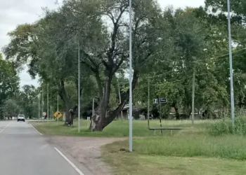 La inauguración de la iluminación del camino al Parque Natural está prevista para el domingo