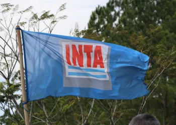 El Gobierno reformulará la estructura del INTA: detalles de la jugada