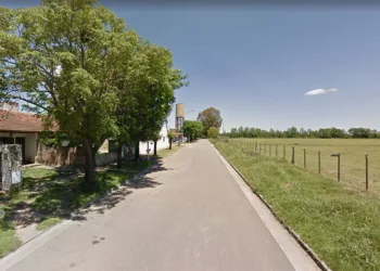 ¿Qué pasa si se produce sin agroquímicos en campos del periurbano?