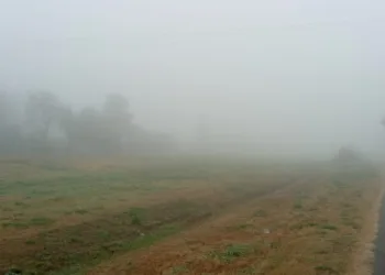 Una espesa niebla cubre la ciudad
