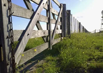 Mientras la ganadería zafa, se complicó la renta agrícola