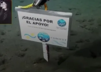 El cartel de los científicos del Conicet en el fondo del mar que emocionó a todos