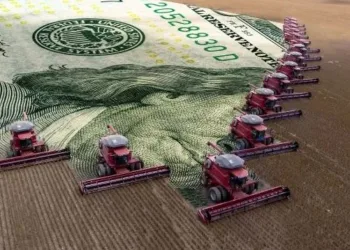 El dólar oficial volvió a caer por mayor oferta del agro