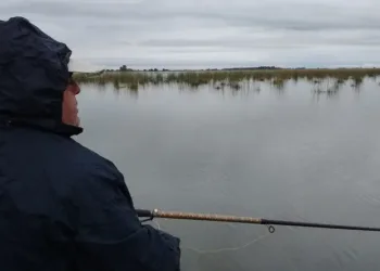Comienza la veda de pesca del pejerrey: hasta el 30 de noviembre