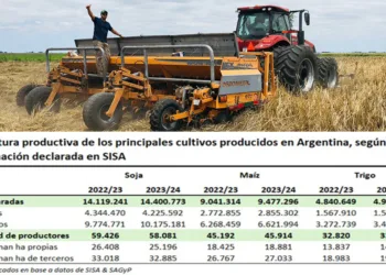 ¿Quiénes producen granos en Argentina, los pequeños o los grandes?