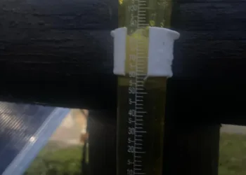 Casi 85 mm cayeron sobre Junín durante las últimas horas