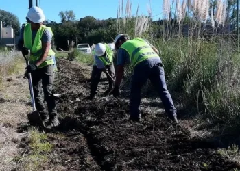 Destacan los avances y ampliación de  servicios en los barrios Real, Moya y Jardín